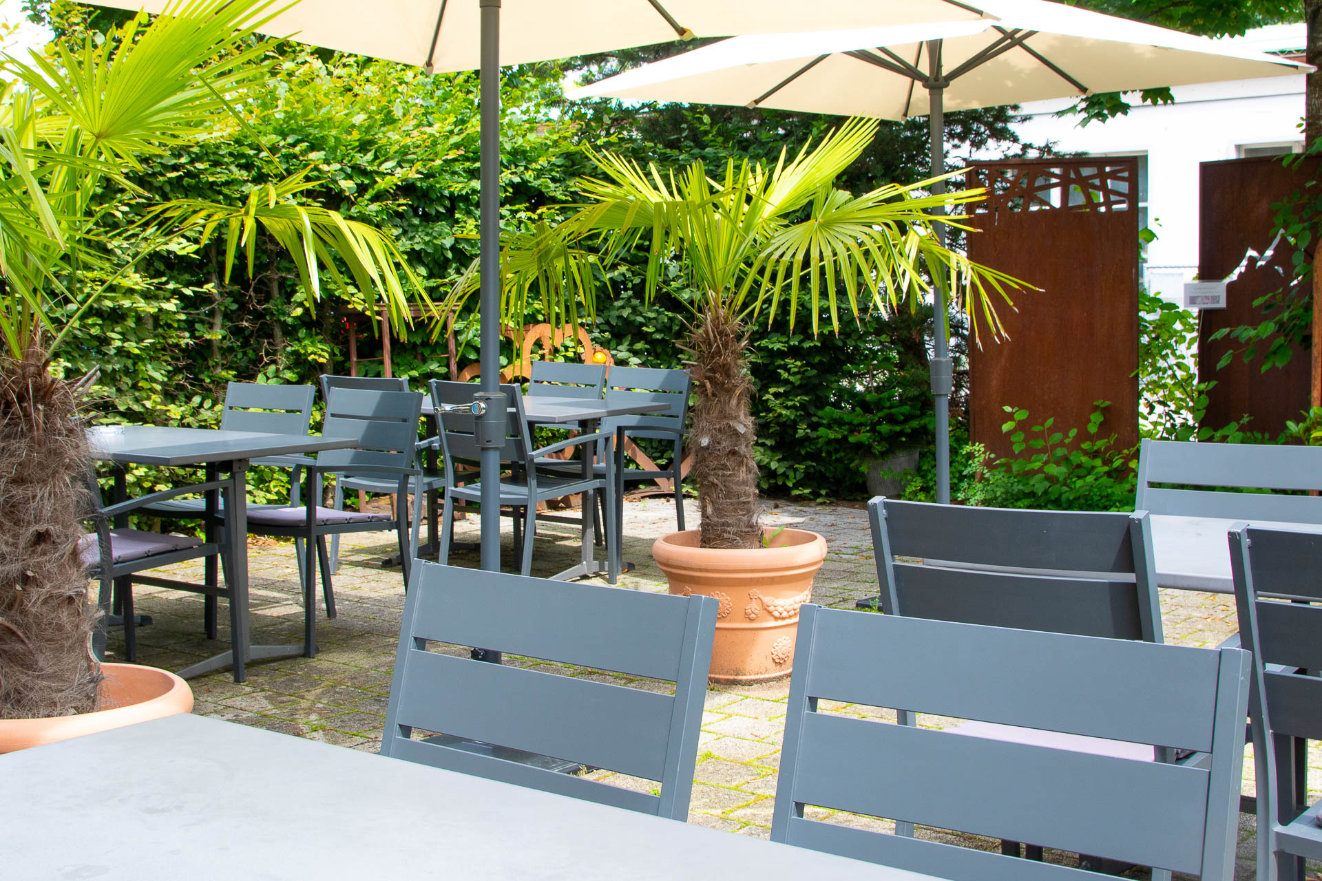 Sonnige Terrasse in Burgdorf mit Plamen und grossen Sonnenschirmen.